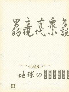 男主有众多老婆的现代小说