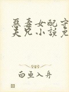 恶毒女配守活寡夫兄小说免费阅读全文