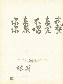 你来不来我都等你原唱完整版