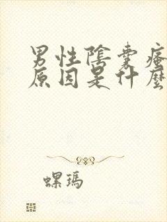 男性阴囊瘙痒的原因是什么