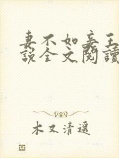 妻不如妾王野小说全文阅读