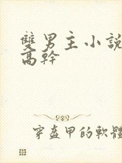 双男主小说推荐高干