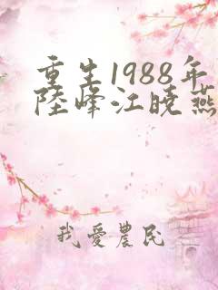 重生1988年陆峰江晓燕