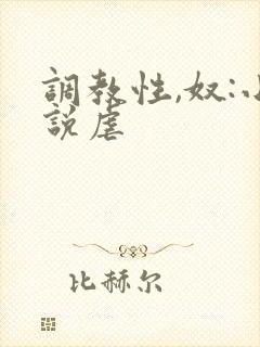 调教性,奴:小说虐