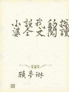 小说我的总裁老婆全文阅读