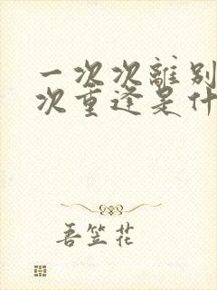 一次次离别一次次重逢是什么歌