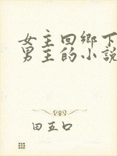 女主回乡下遇到男主的小说