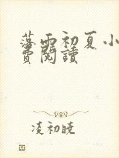 落雨初夏小说免费阅读