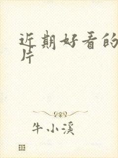 近期好看的谍战片