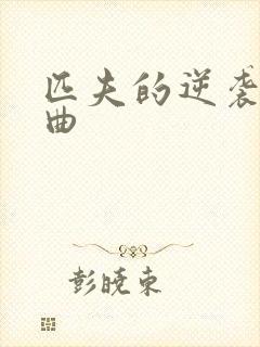 匹夫的逆袭三部曲