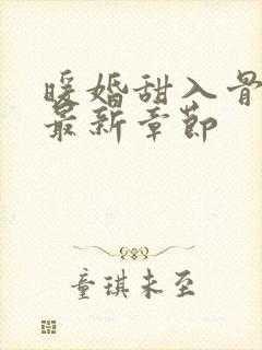 暖婚甜入骨小说最新章节