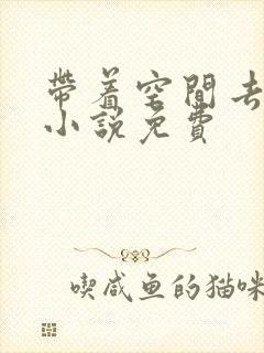 带着空间去种田小说免费