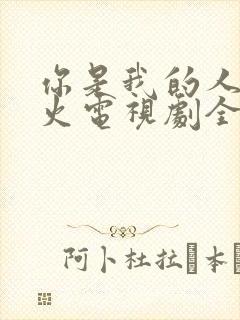 你是我的人间烟火电视剧全集免费观看