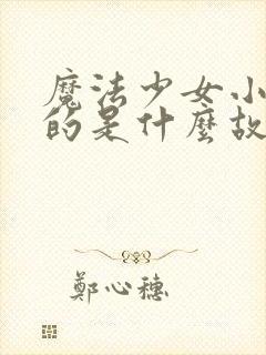 魔法少女小圆讲的是什么故事