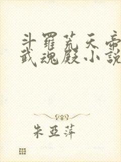 斗罗荒天帝降临武魂殿小说免费阅读
