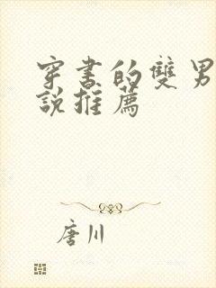 穿书的双男主小说推荐