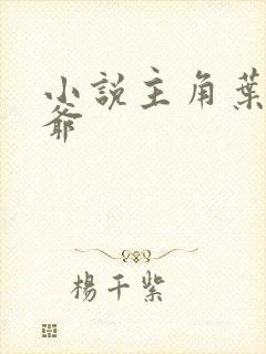 小说主角叶观塔爷