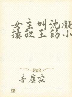 女主叫沈凝男主摄政王的小说