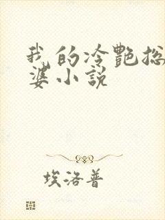 我的冷艳总裁老婆小说