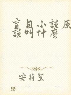 盲目小说原著小说叫什么