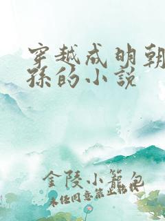 穿越成明朝皇太孙的小说