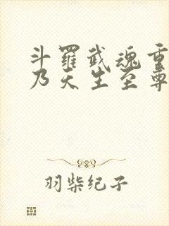 斗罗武魂重瞳吾乃天生至尊