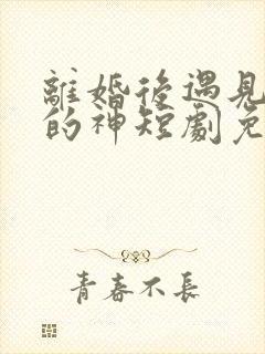 离婚后遇见心软的神短剧免费观看