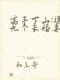 高手下山:退婚九个未婚妻