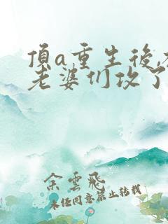 顶a重生后,被老婆们攻了