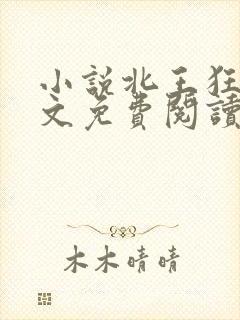 小说北王狂刀全文免费阅读