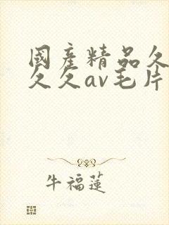 国产精品久久久久久av毛片