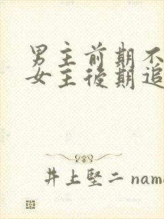 男主前期不喜欢女主后期追妻火葬场