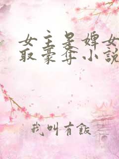 女主是婢女被强取豪夺小说