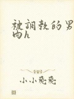 被调教的男奴们肉h