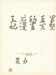 王府的直男小娇妃漫画完整版