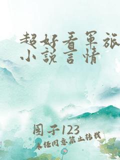 超好看军旅甜文小说言情