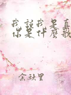 我说我是真的爱你是什么歌的歌词