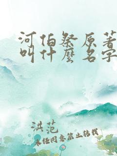 河伯祭原著小说叫什么名字