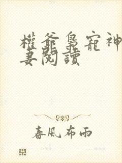 权爷枭宠神秘娇妻阅读