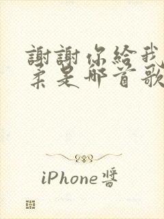 谢谢你给我的温柔是哪首歌的歌词