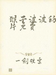 猴子波波的动画片免费