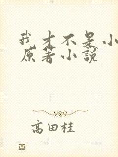 我才不是小可怜原著小说