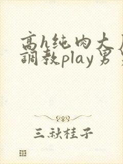 高h纯肉大尺度调教play男男
