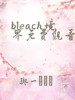 bleach境界免费观看全集