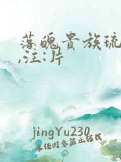 落魄贵族琉璃川,注:片