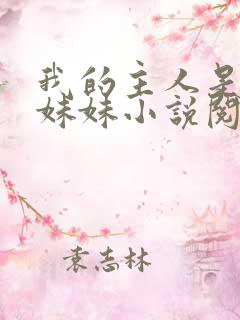 我的主人是我的妹妹小说阅读