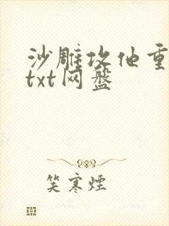 沙雕攻他重生了txt网盘