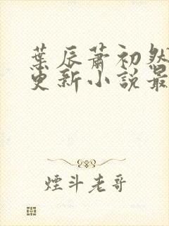 叶辰萧初然最快更新小说最新章节