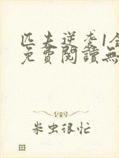 匹夫逆袭1全文免费阅读无弹窗