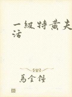 一级特黄夫妻生活